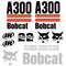 Bobcat A300 Decal Set - 2 Stripe
